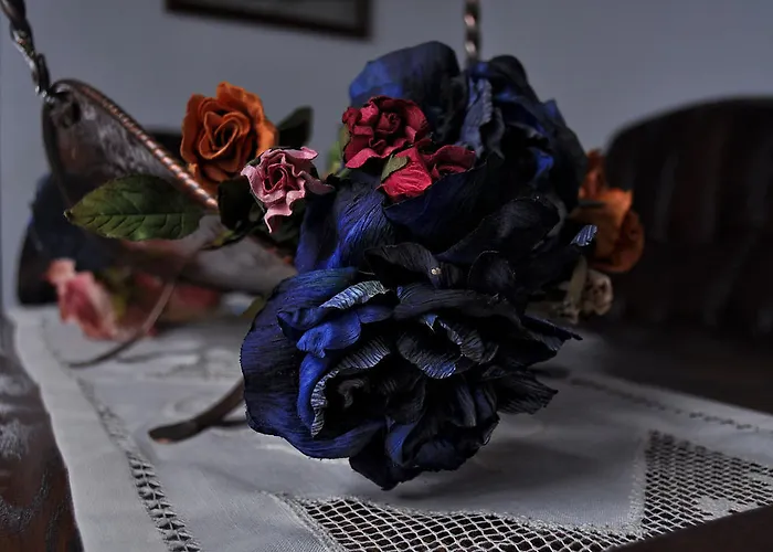 Ansorena سانتيانا ذيل مار