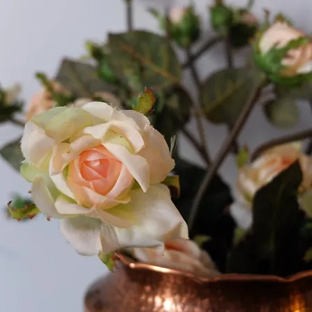 Inn Ansorena Santillana del Mar