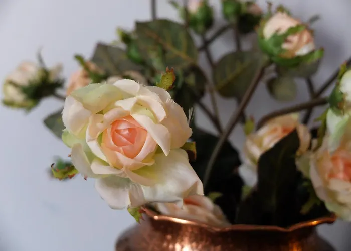 Kro Ansorena Santillana del Mar